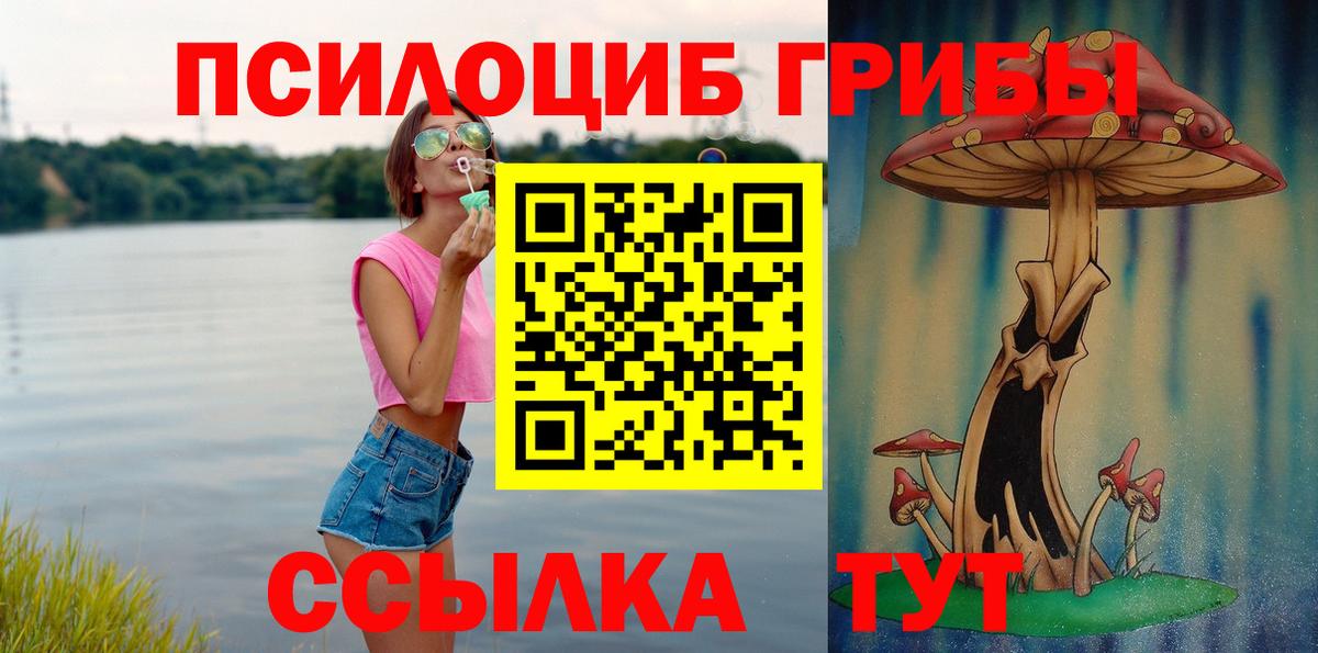 Псилоцибиновые грибы прущие грибы Тайшет