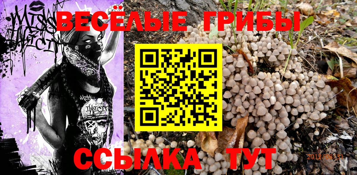 Псилоцибиновые грибы прущие грибы  Вход с VPN  Тайшет 